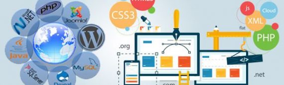 Popular Web Designing Features You Should Never Miss!