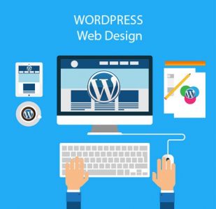 Wordpress Web Design - WordPress logo on a PC and a person working on it.